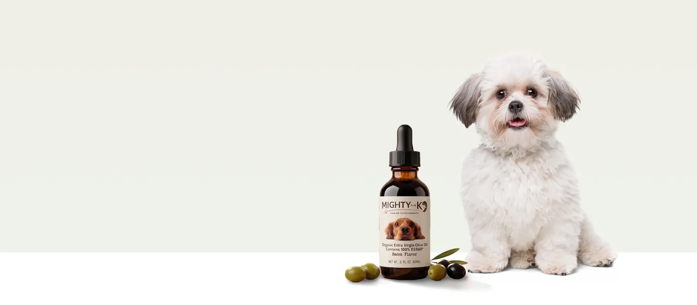 A small white fluffy dog sitting next to an amber Mighty K9 bottle and a few olives
