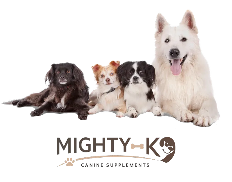 Four dogs lying together above the Mighty K9 Canine Supplements wordmark